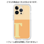 Premium Panel［ Original - initial two tone - T orange ］