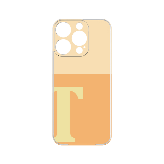 Premium Panel［ Original - initial two tone - T orange ］