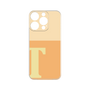 Premium Panel［ Original - initial two tone - T orange ］