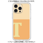 Premium Panel［ Original - initial two tone - T orange ］