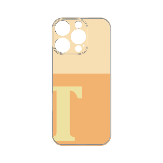 Premium Panel［ Original - initial two tone - T orange ］