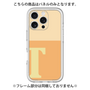 Premium Panel［ Original - initial two tone - T orange ］