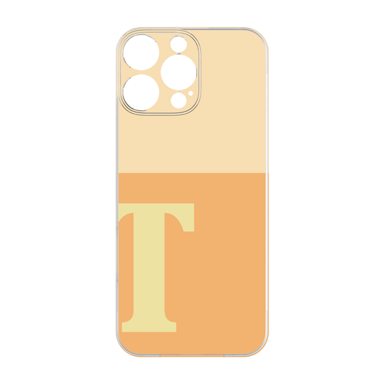 Premium Panel［ Original - initial two tone - T orange ］