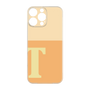 Premium Panel［ Original - initial two tone - T orange ］