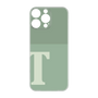 Premium Panel［ Original - initial two tone - T green ］