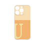 Premium Panel［ Original - initial two tone - U orange ］