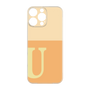 Premium Panel［ Original - initial two tone - U orange ］
