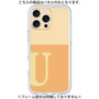 Premium Panel［ Original - initial two tone - U orange ］