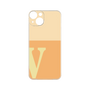 Premium Panel［ Original - initial two tone - V orange ］