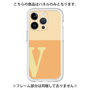 Premium Panel［ Original - initial two tone - V orange ］