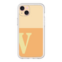 Premium Panel［ Original - initial two tone - V orange ］