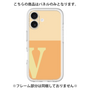 Premium Panel［ Original - initial two tone - V orange ］