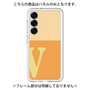 Premium Panel［ Original - initial two tone - V orange ］