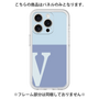 Premium Panel［ Original - initial two tone - V blue ］