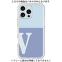 Premium Panel［ Original - initial two tone - V blue ］