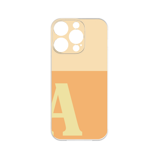 Premium Panel［ Original - initial two tone - A orange ］