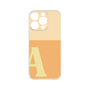 Premium Panel［ Original - initial two tone - A orange ］