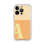 Premium Panel［ Original - initial two tone - A orange ］