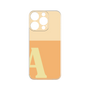Premium Panel［ Original - initial two tone - A orange ］