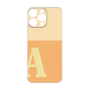 Premium Panel［ Original - initial two tone - A orange ］