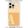 Premium Panel［ Original - initial two tone - A orange ］