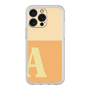 Premium Panel［ Original - initial two tone - A orange ］