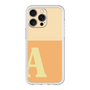 Premium Panel［ Original - initial two tone - A orange ］