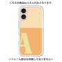 Premium Panel［ Original - initial two tone - A orange ］