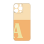 Premium Panel［ Original - initial two tone - A orange ］