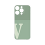 Premium Panel［ Original - initial two tone - V green ］
