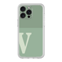 Premium Panel［ Original - initial two tone - V green ］
