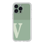 Premium Panel［ Original - initial two tone - V green ］