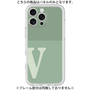Premium Panel［ Original - initial two tone - V green ］