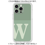 Premium Panel［ Original - initial two tone - W green ］