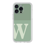 Premium Panel［ Original - initial two tone - W green ］