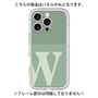 Premium Panel［ Original - initial two tone - W green ］