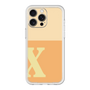 Premium Panel［ Original - initial two tone - X orange ］