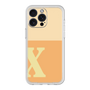 Premium Panel［ Original - initial two tone - X orange ］