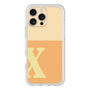 Premium Panel［ Original - initial two tone - X orange ］