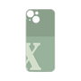 Premium Panel［ Original - initial two tone - X green ］