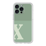 Premium Panel［ Original - initial two tone - X green ］