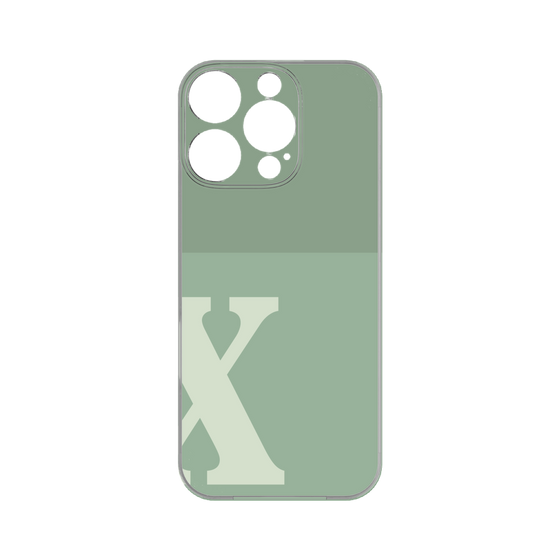 Premium Panel［ Original - initial two tone - X green ］