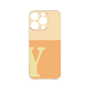 Premium Panel［ Original - initial two tone - Y orange ］
