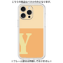 Premium Panel［ Original - initial two tone - Y orange ］