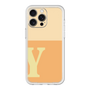 Premium Panel［ Original - initial two tone - Y orange ］