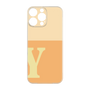 Premium Panel［ Original - initial two tone - Y orange ］