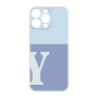 Premium Panel［ Original - initial two tone - Y blue ］