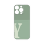 Premium Panel［ Original - initial two tone - Y green ］