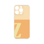 Premium Panel［ Original - initial two tone - Z orange ］