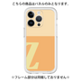 Premium Panel［ Original - initial two tone - Z orange ］